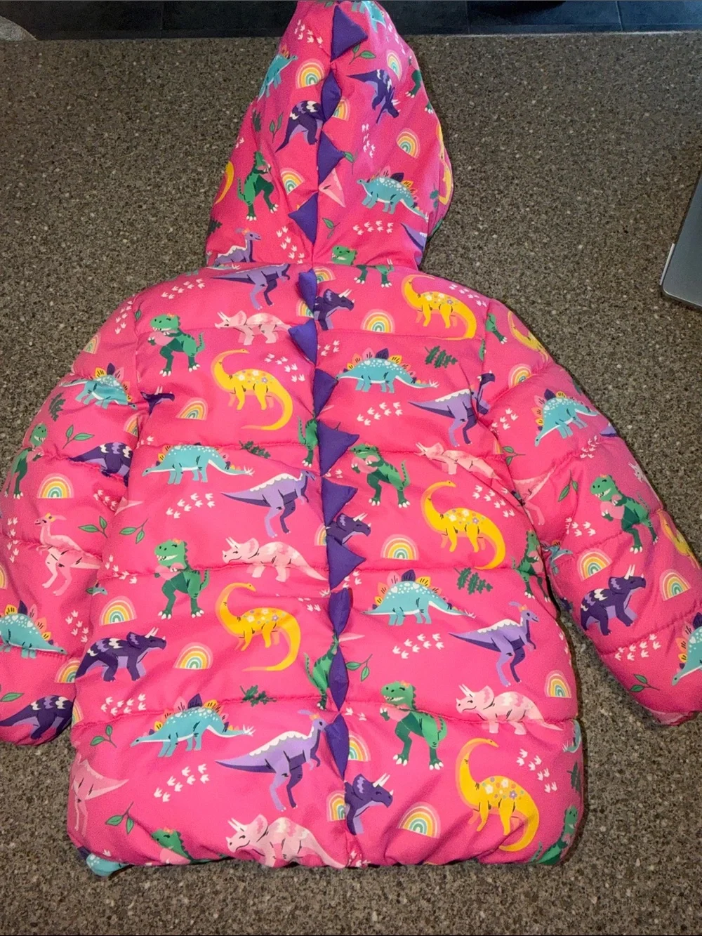 Gymboree dinosaur puffer jacket